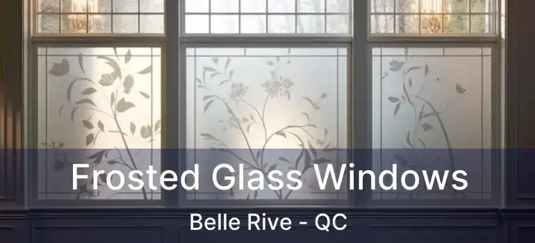  Frosted Glass Windows Belle Rive - QC