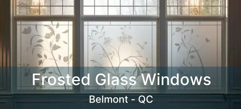  Frosted Glass Windows Belmont - QC