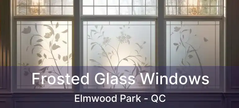  Frosted Glass Windows Elmwood Park - QC