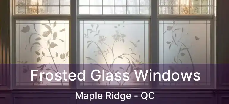  Frosted Glass Windows Maple Ridge - QC