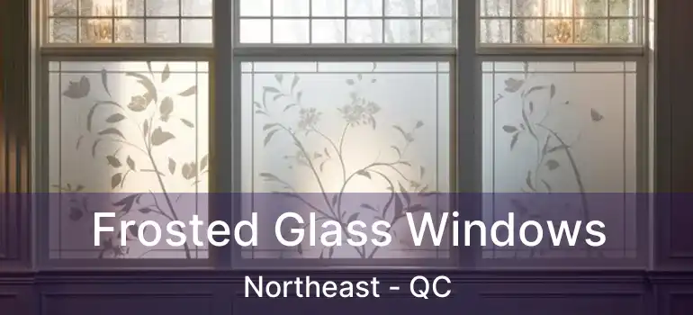  Frosted Glass Windows Northeast - QC