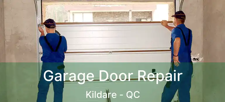  Garage Door Repair Kildare - QC