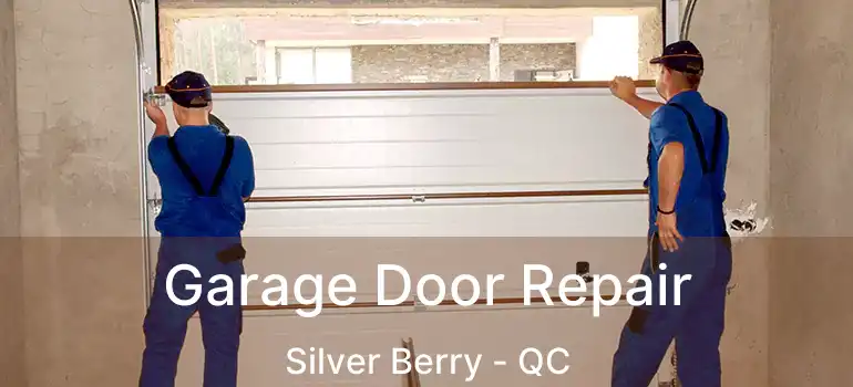  Garage Door Repair Silver Berry - QC