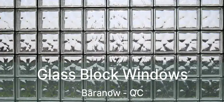  Glass Block Windows Baranow - QC