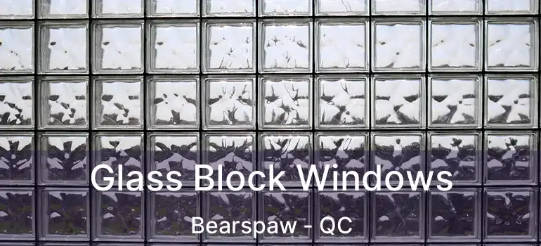  Glass Block Windows Bearspaw - QC