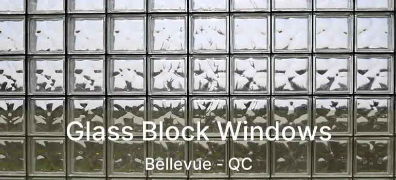  Glass Block Windows Bellevue - QC