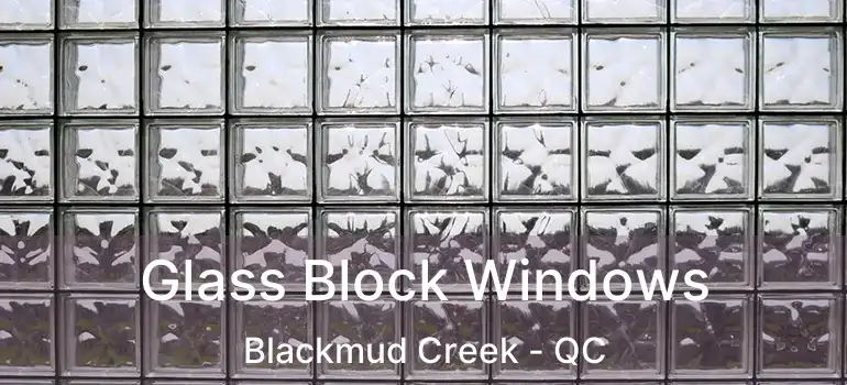  Glass Block Windows Blackmud Creek - QC