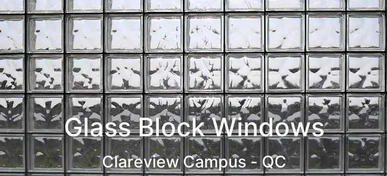  Glass Block Windows Clareview Campus - QC