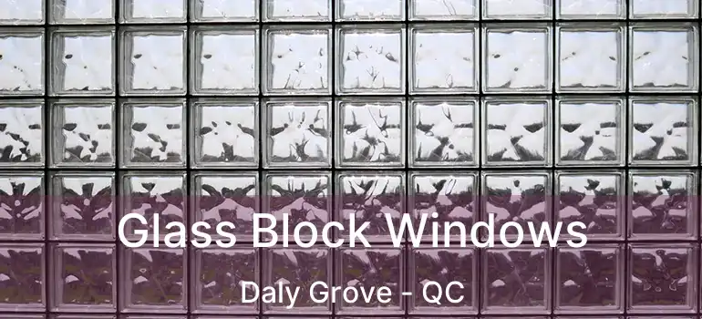  Glass Block Windows Daly Grove - QC