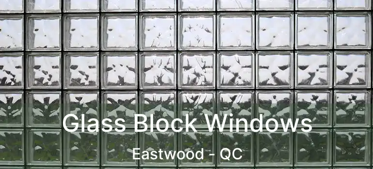  Glass Block Windows Eastwood - QC