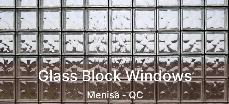  Glass Block Windows Menisa - QC