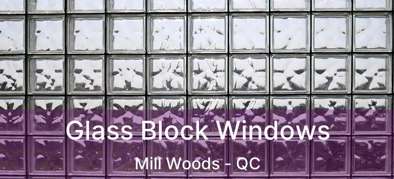  Glass Block Windows Mill Woods - QC