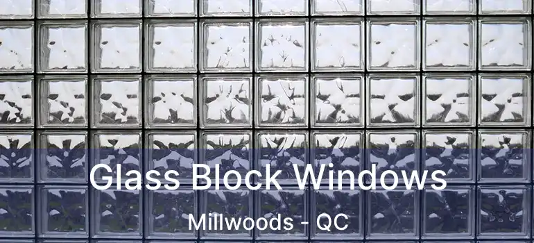  Glass Block Windows Millwoods - QC
