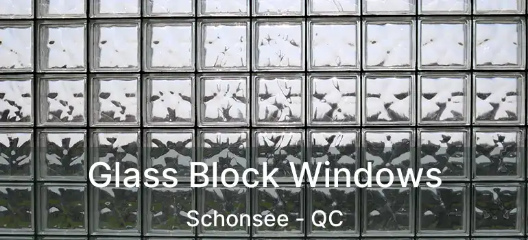  Glass Block Windows Schonsee - QC
