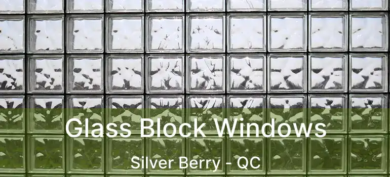  Glass Block Windows Silver Berry - QC