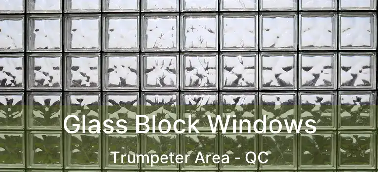  Glass Block Windows Trumpeter Area - QC