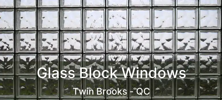  Glass Block Windows Twin Brooks - QC