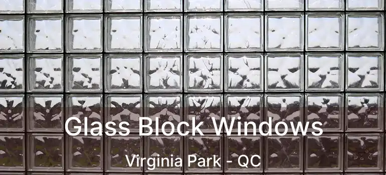  Glass Block Windows Virginia Park - QC