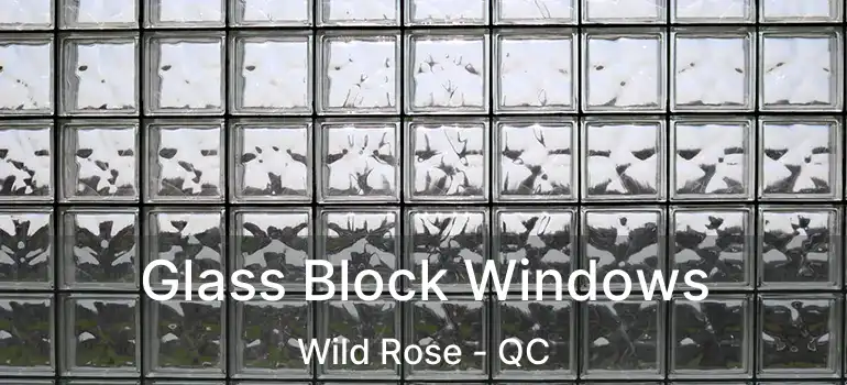  Glass Block Windows Wild Rose - QC