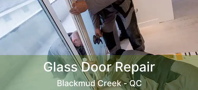  Glass Door Repair Blackmud Creek - QC