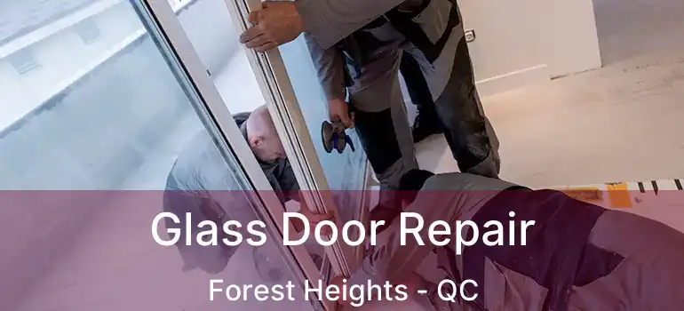  Glass Door Repair Forest Heights - QC