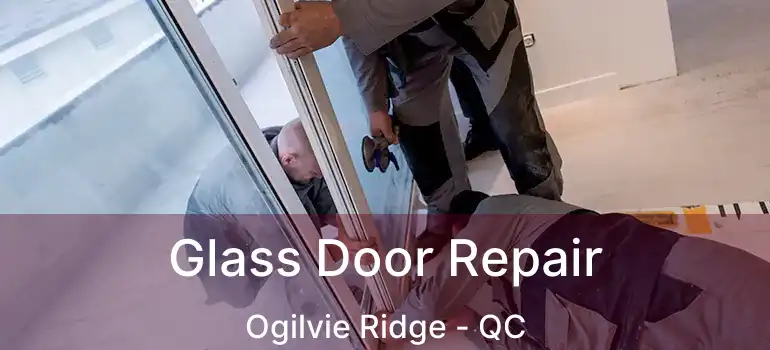  Glass Door Repair Ogilvie Ridge - QC