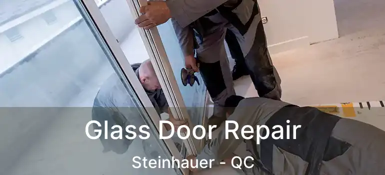  Glass Door Repair Steinhauer - QC
