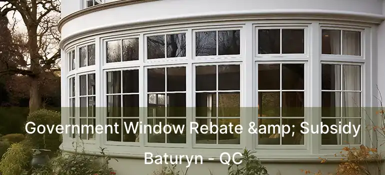  Government Window Rebate & Subsidy Baturyn - QC