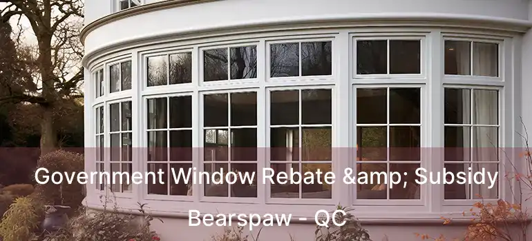  Government Window Rebate & Subsidy Bearspaw - QC