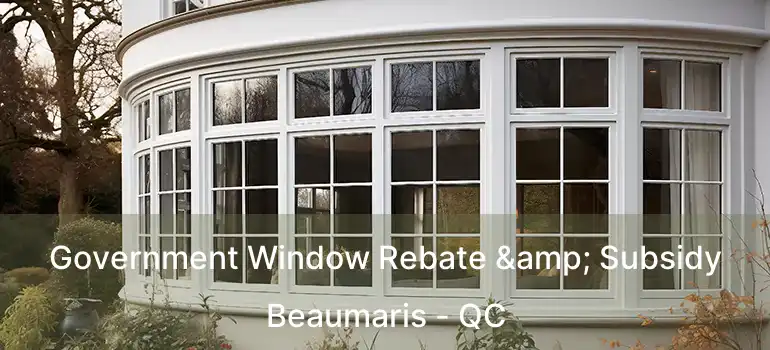  Government Window Rebate & Subsidy Beaumaris - QC