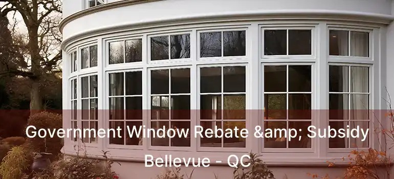  Government Window Rebate & Subsidy Bellevue - QC