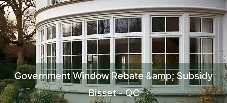  Government Window Rebate & Subsidy Bisset - QC