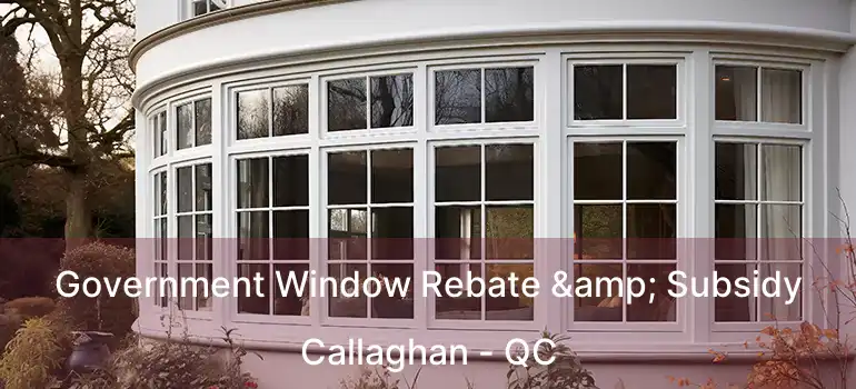  Government Window Rebate & Subsidy Callaghan - QC