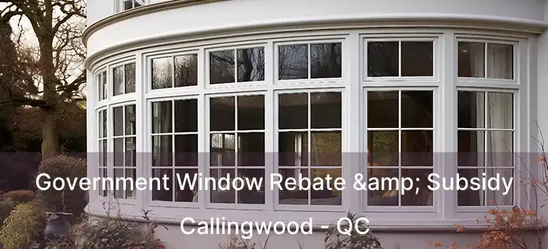  Government Window Rebate & Subsidy Callingwood - QC