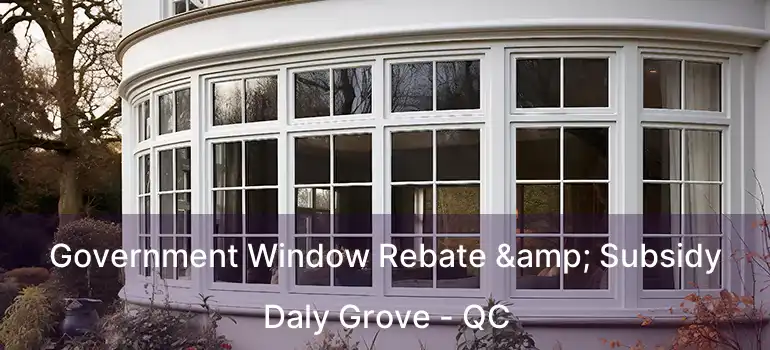  Government Window Rebate & Subsidy Daly Grove - QC