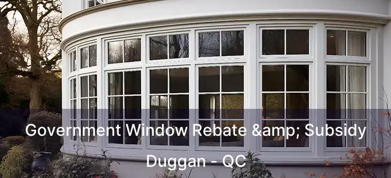  Government Window Rebate & Subsidy Duggan - QC