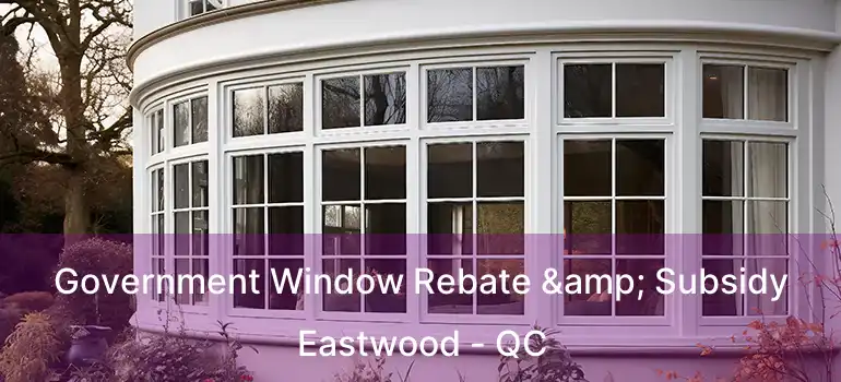  Government Window Rebate & Subsidy Eastwood - QC