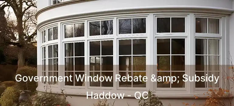  Government Window Rebate & Subsidy Haddow - QC