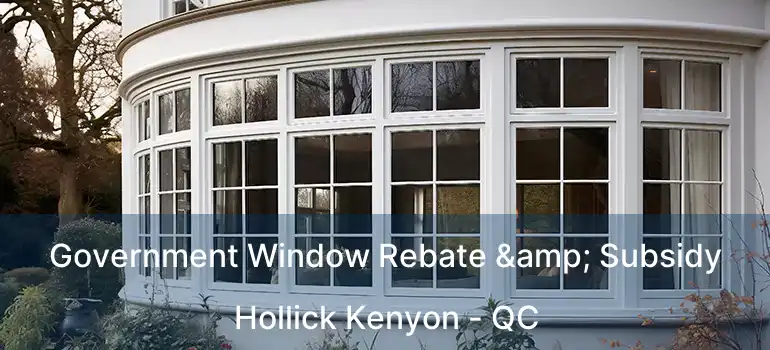  Government Window Rebate & Subsidy Hollick Kenyon - QC