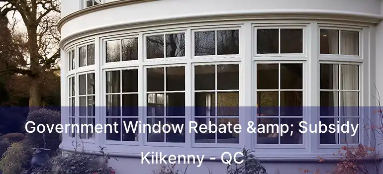  Government Window Rebate & Subsidy Kilkenny - QC