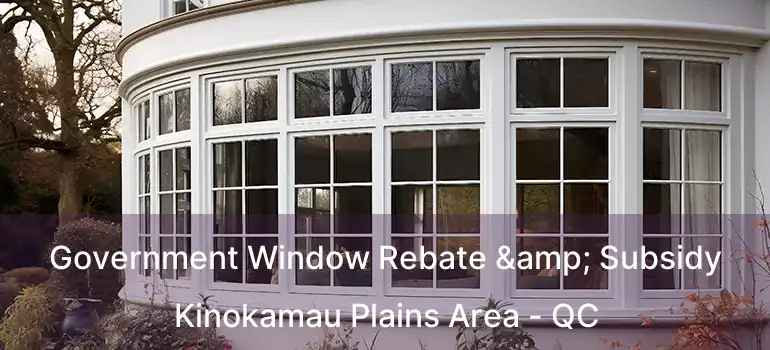  Government Window Rebate & Subsidy Kinokamau Plains Area - QC