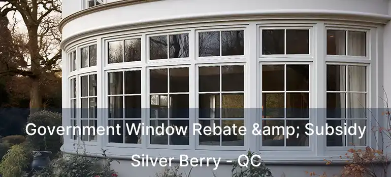  Government Window Rebate & Subsidy Silver Berry - QC
