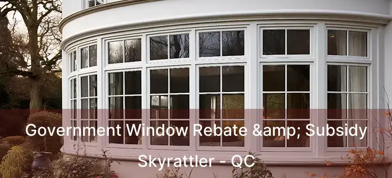  Government Window Rebate & Subsidy Skyrattler - QC