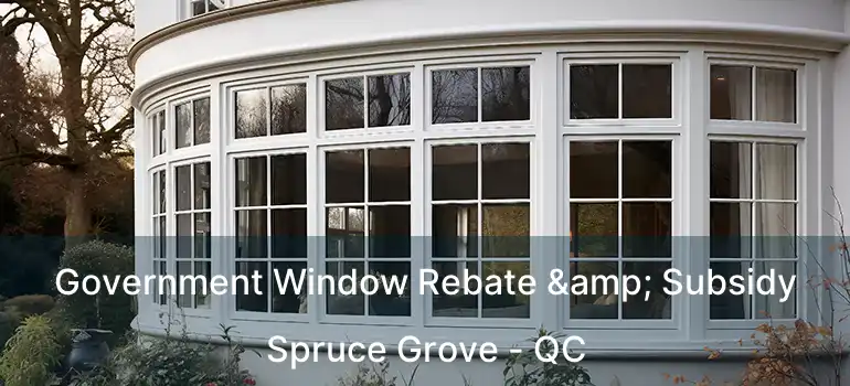 Government Window Rebate & Subsidy Spruce Grove - QC