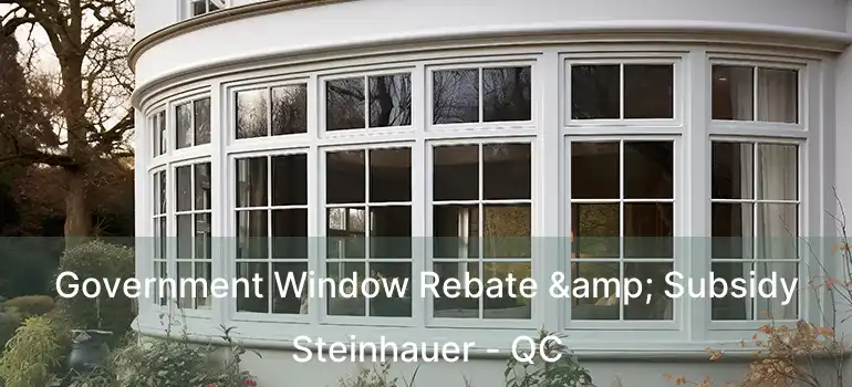  Government Window Rebate & Subsidy Steinhauer - QC