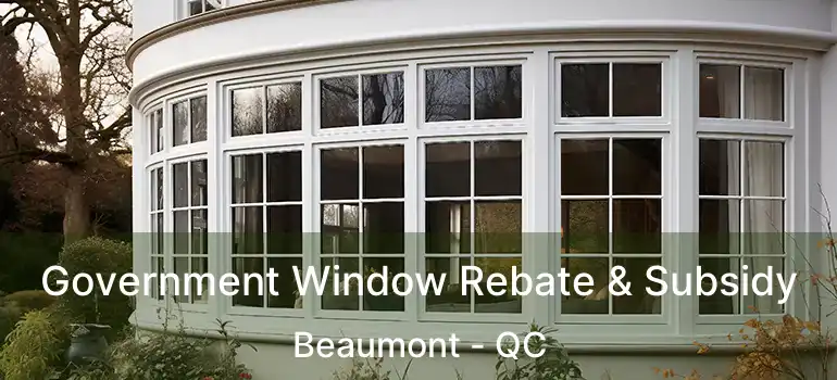  Government Window Rebate & Subsidy Beaumont - QC