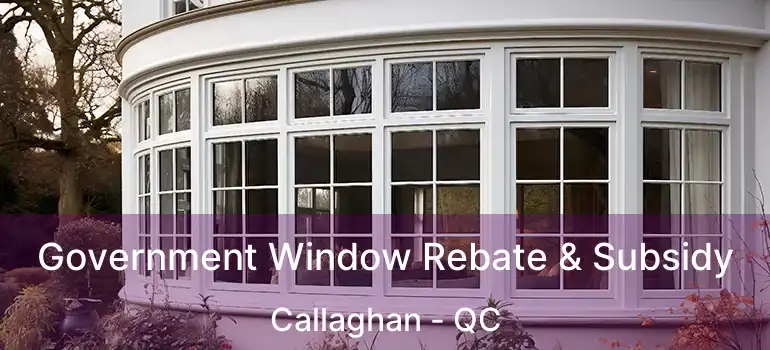  Government Window Rebate & Subsidy Callaghan - QC