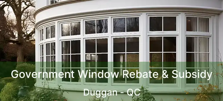  Government Window Rebate & Subsidy Duggan - QC