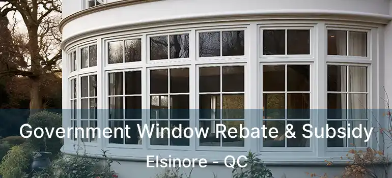  Government Window Rebate & Subsidy Elsinore - QC