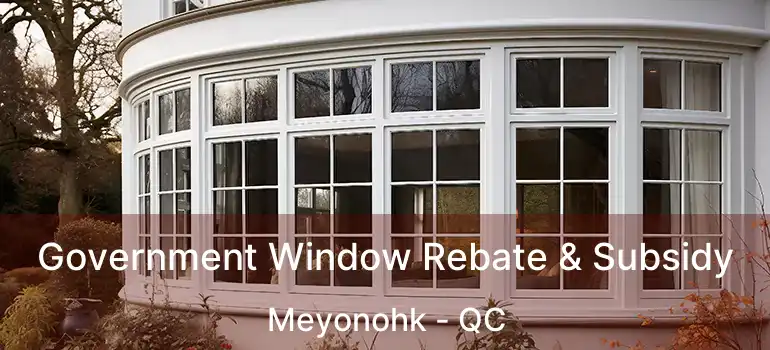  Government Window Rebate & Subsidy Meyonohk - QC